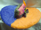Hat 66
